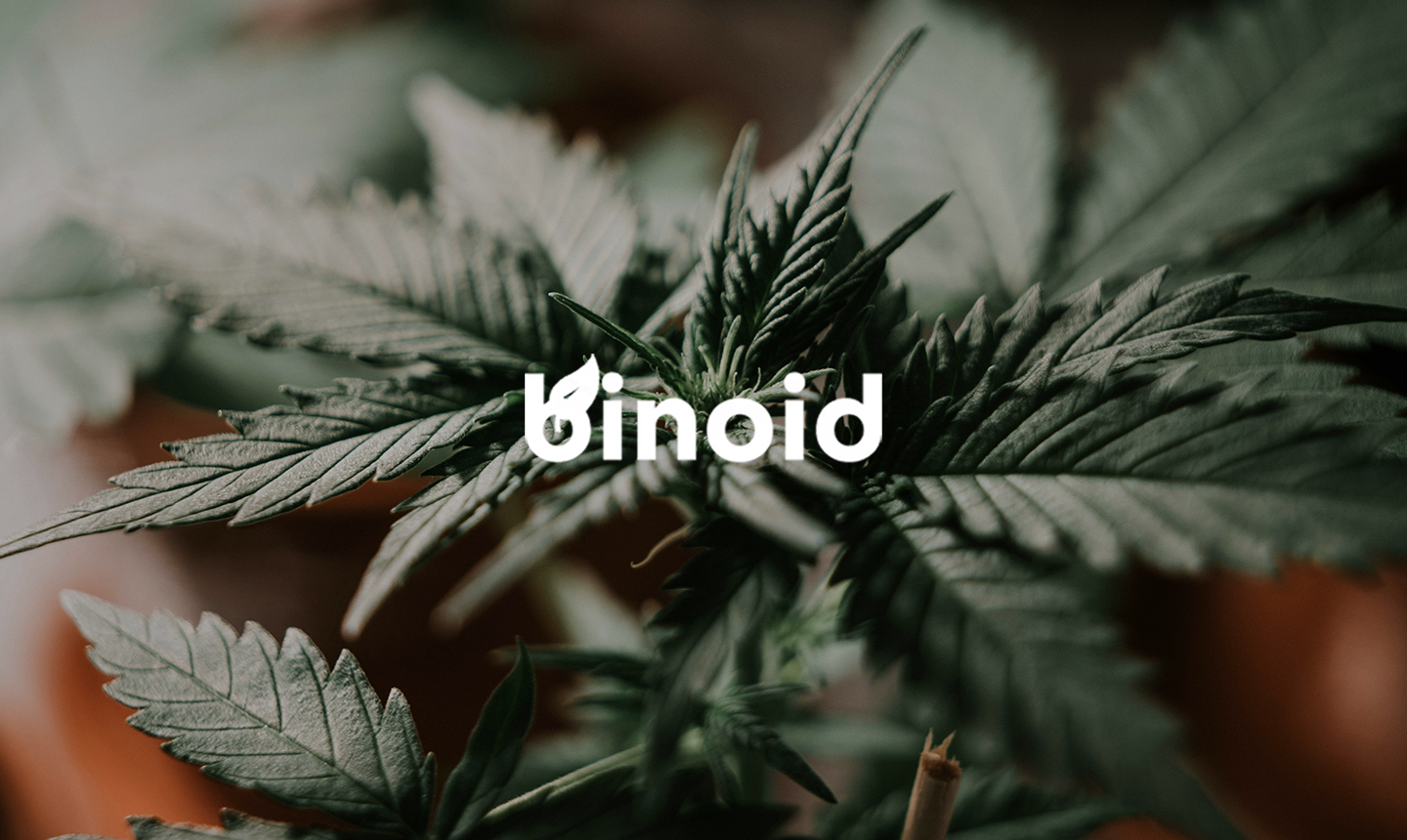gras-grun-a1uuc_67now-unsplash work https://clickhappy.com/wp-content/uploads/2023/12/gras-grun-a1uuc_67now-unsplash-work-.jpg